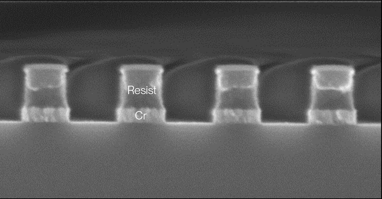 Eulitha Dispelix f1 1