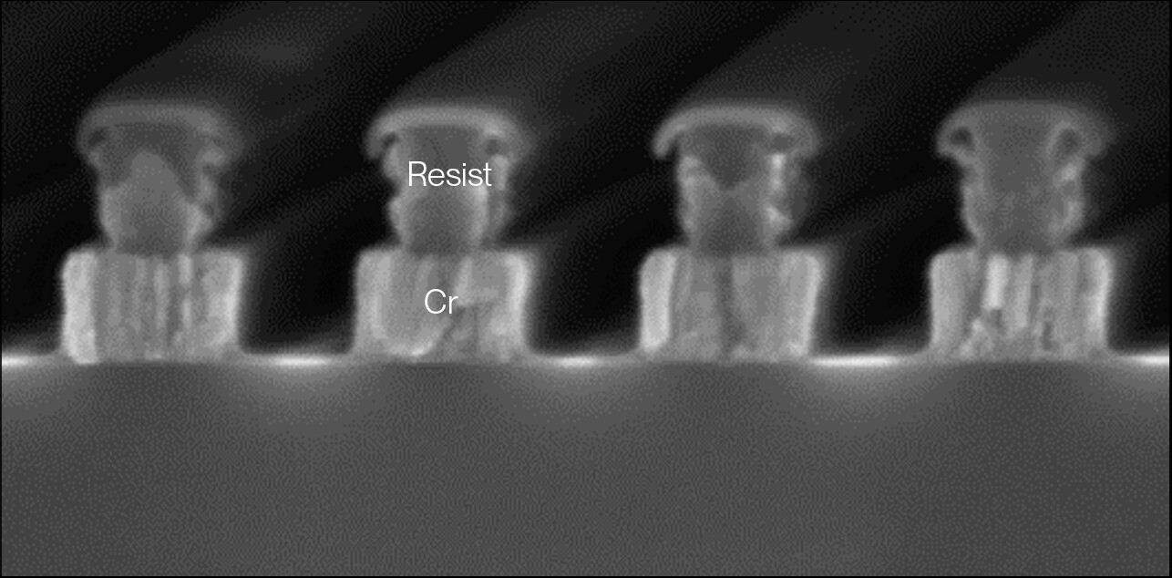 Eulitha Dispelix f2 1